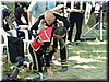DSC00887.JPG