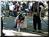 DSC00949.JPG