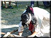 DSC00950.JPG