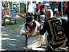 DSC00951.JPG