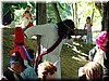 DSC00960.JPG