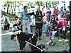 Dsc00908.jpg
